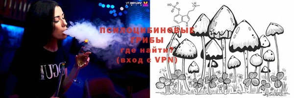 крисы Абаза