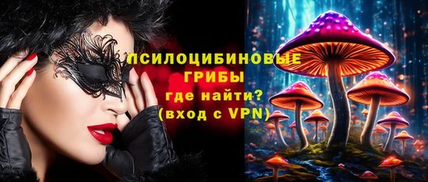 мяу мяу мука Алексин
