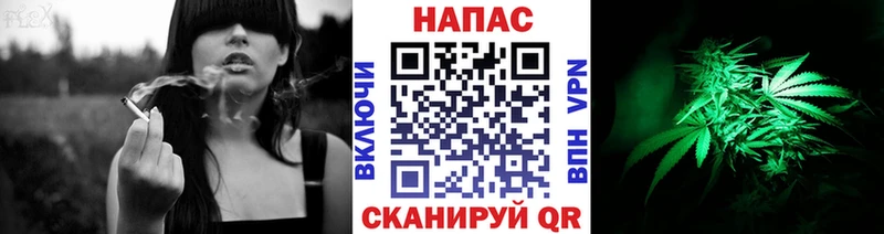 гидра ссылки  Казань  Шишки марихуана сатива 